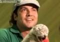 David Bisbal es padrino de un tigre de zoológico