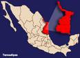 México: Ejercito abate a 27 sicarios en la frontera entre Nuevo León y Tamaulipas