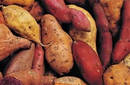 La batata o, como decimos por el Perú, el camote