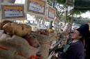 Casi tres toneladas de papas nativas se vendieron en Mistura 2009