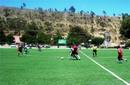 Campeonato deportivo congregó a peruanos en Bolivia