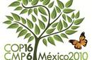 Cumbre de Cambio Climático de Cancún: A pesar de la oposición de Bolivia