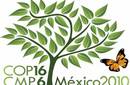 Acuerdos de la Cumbre del cambio Climático de Cancún constituyen fuente de satisfacción