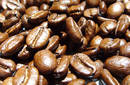 Promoción de cafe orgánico