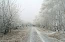 Planes sociales para realizar en invierno