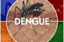 Dengue en Lima, después de 15 años del inicio de epidemia en Perú