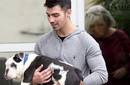 Joe Jonas de camino al veterinario con Winston
