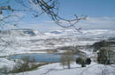 Paisajes Nevados