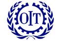 OIT: 115 millones de niños realizan trabajos peligrosos en el mundo