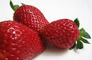 Algo sobre las fresa: refuerzan los glóbulos rojos frente al estrés oxidativo