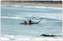 PEROU : SEA, SURF AND SUN (PERU: MAR, SURF Y SOL)