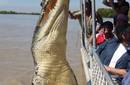 Confirman fotografía de un cocodrilo gigante en Australia