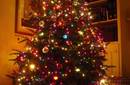 Navidad: Árbol de Navidad