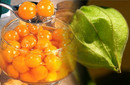 Frutas de Mistura: El Aguaymanto