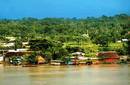 TAMBOPATA-PUERTO MALDONADO: RESERVA ECOLOGICA AMAZONICA