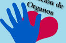 ¿En el Perú hay apoyo a la donación de organos?