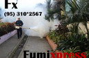 Fumixpress SRL: Fumigaciones en casas, oficinas, empresas e instituciones 792-0365 / 957-9128-87