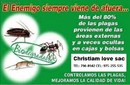 fumugaciones de todo tipo de insectos 796-8942