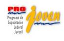 DESDE VILLA EL SALVADOR:INFORMACI&Oacute;N SOBRE PROJOVEN