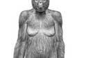 'Ardi', el hallazgo científico del año para 'Science'