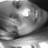 adriane