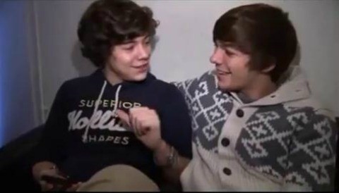 ¿Crees que haya un romance entre Louis Tomlinson y Harry Styles de One Direction?