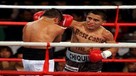 ¿Está Ud. de acuerdo con los S/. 50 mil de premio para el campeón de box 'Chiquito' Rossel'?