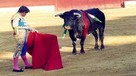 ¿Usted considera una tradición peruana las corridas de toros?