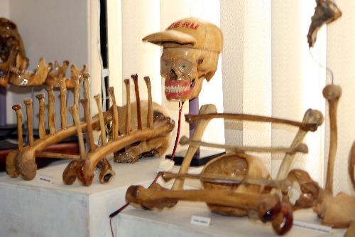 Polémico Museo de Osamentas Humanas del odontólogo Adalberto Meneses está ubicado en Pueblo Libre.