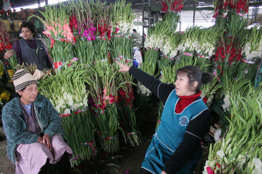 Venta de rosas en el 'Mercado de Flores de Lima' se incrementa por las fiestas navideñas.