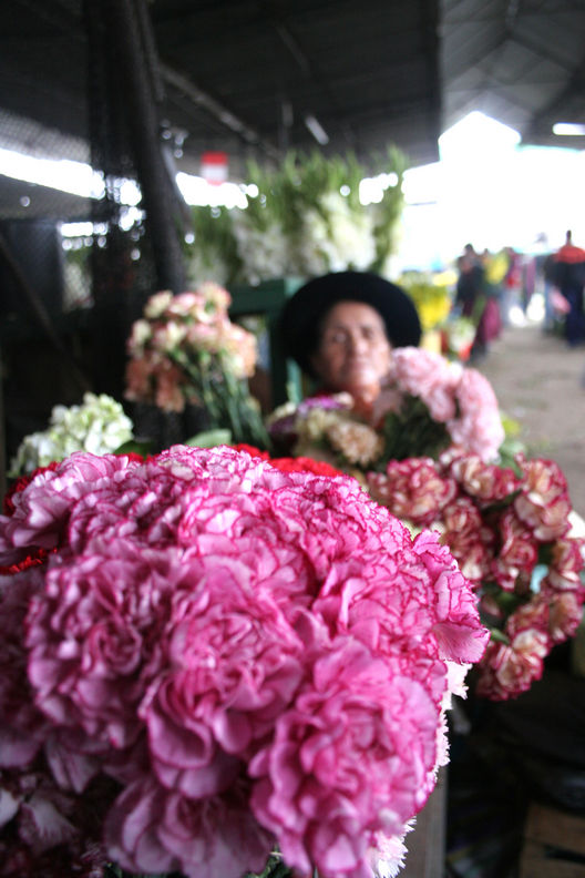Venta de rosas en el 'Mercado de Flores de Lima' se incrementa por las fiestas navideñas.