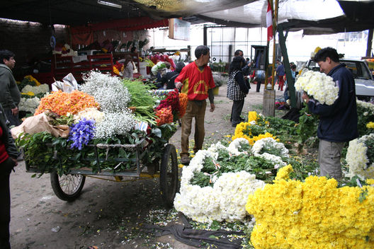Venta de rosas en el 'Mercado de Flores de Lima' se incrementa por las fiestas navideñas.