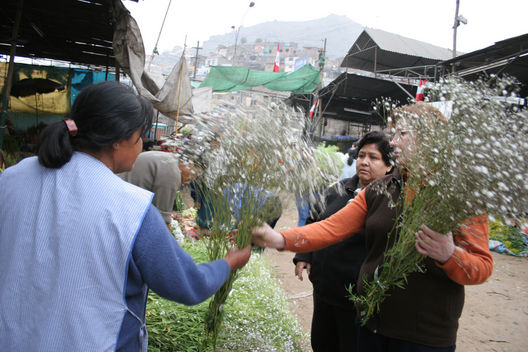 Venta de rosas en el 'Mercado de Flores de Lima' se incrementa por las fiestas navideñas.