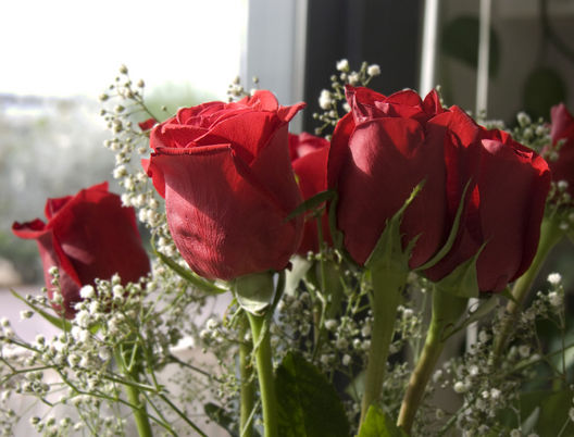 Venta de rosas en el 'Mercado de Flores de Lima' se incrementa por las fiestas navideñas.