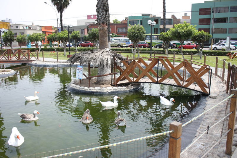 Disfrute un divertido día de campo en el Parque de la Familia Manuel Montero Bernales en Barranco.