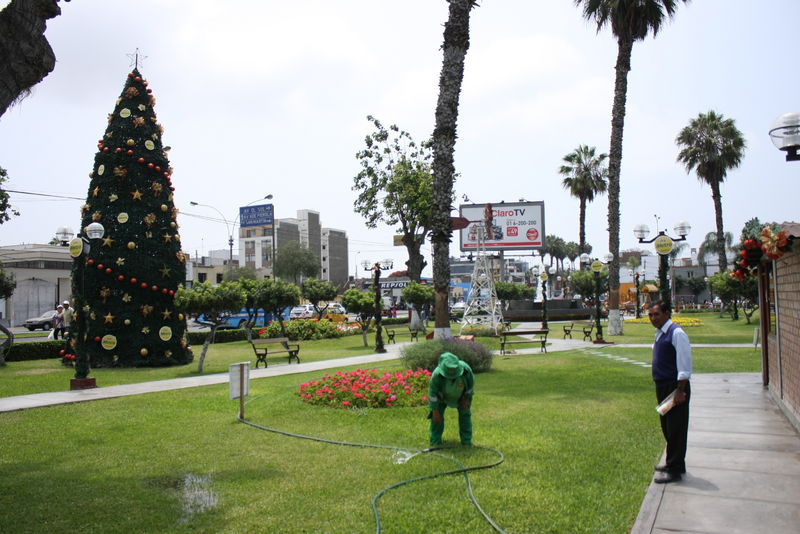 Disfrute un divertido día de campo en el Parque de la Familia Manuel Montero Bernales en Barranco.
