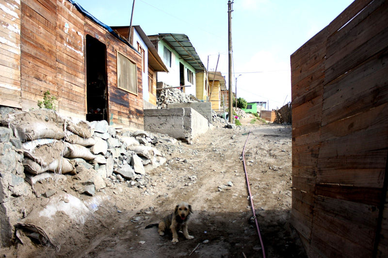 Así  luce el Asentamiento Humano '15 de julio' en Mi Perú - Ventanilla, luchando contra la pobreza, la arena y el sol