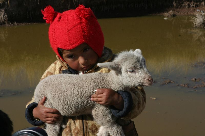 Terrible friaje en Puno afecta, como cada año, en mayor medida a niños de las diferentes provincias puneñas.