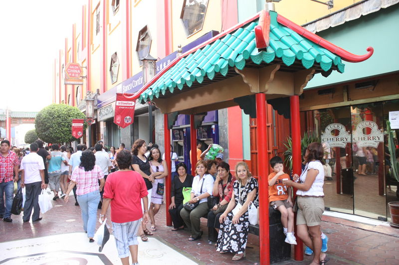 Miembros de la comunidad china en el Perú celebran así la llegada del Año del Dragón en el tradicional barrio chino en Lima.