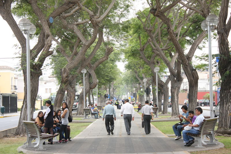 La Avenida Arequipa es una de las principales de la ciudad: sus 52 cuadras encuentran un inicio en el barrio de Santa Beatriz