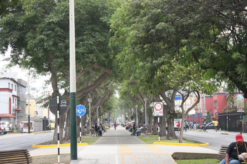 La Avenida Arequipa es una de las principales de la ciudad: sus 52 cuadras encuentran un inicio en el barrio de Santa Beatriz