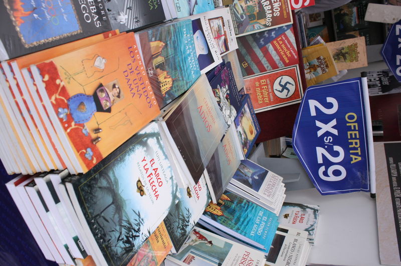 Una buena forma de pasar el día y enseñar poco a poco el hábito de la lectura a nuestras familias.