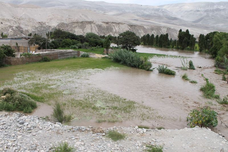 Aguas desbordadas del río Majes inundaron campos de cultivo en la provincia arequipeña de Castilla.
