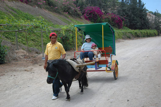 Visite la casa club-  Entre Cerros