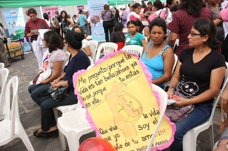 Cada 25 de marzo se celebra en el Perú el Día del Niño por Nacer en cumplimiento a ley promulgada por el Congreso de la República