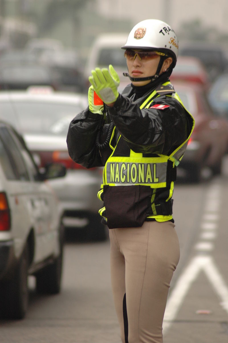 El Escuadrón Fénix de la Policia Nacional del Perú, cuerpo altamente especializado, encargado de hacer cumplir las leyes en las calles del Perú