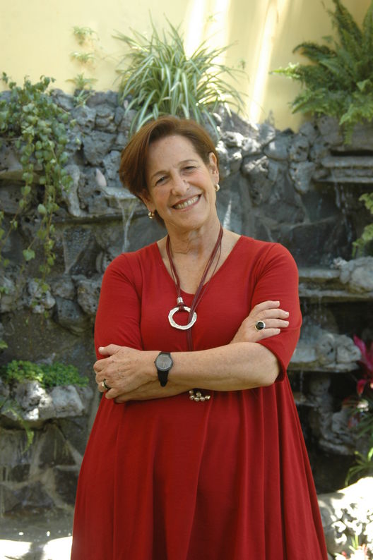 Alcaldesa de Lima, Susana Villarán