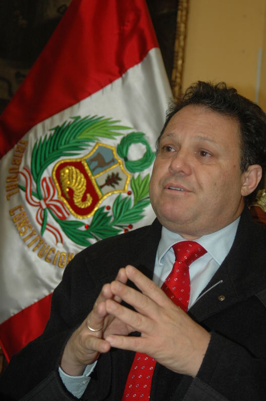 Carlos Mesias, Presidente Interior del Tribunal Constitucional