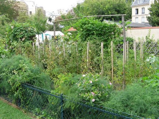 Un Biohuerto Público en París: El Jardín Catherine Labouré