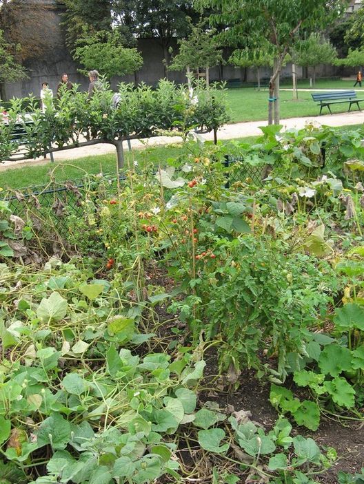 Un Biohuerto Público en París: El Jardín Catherine Labouré